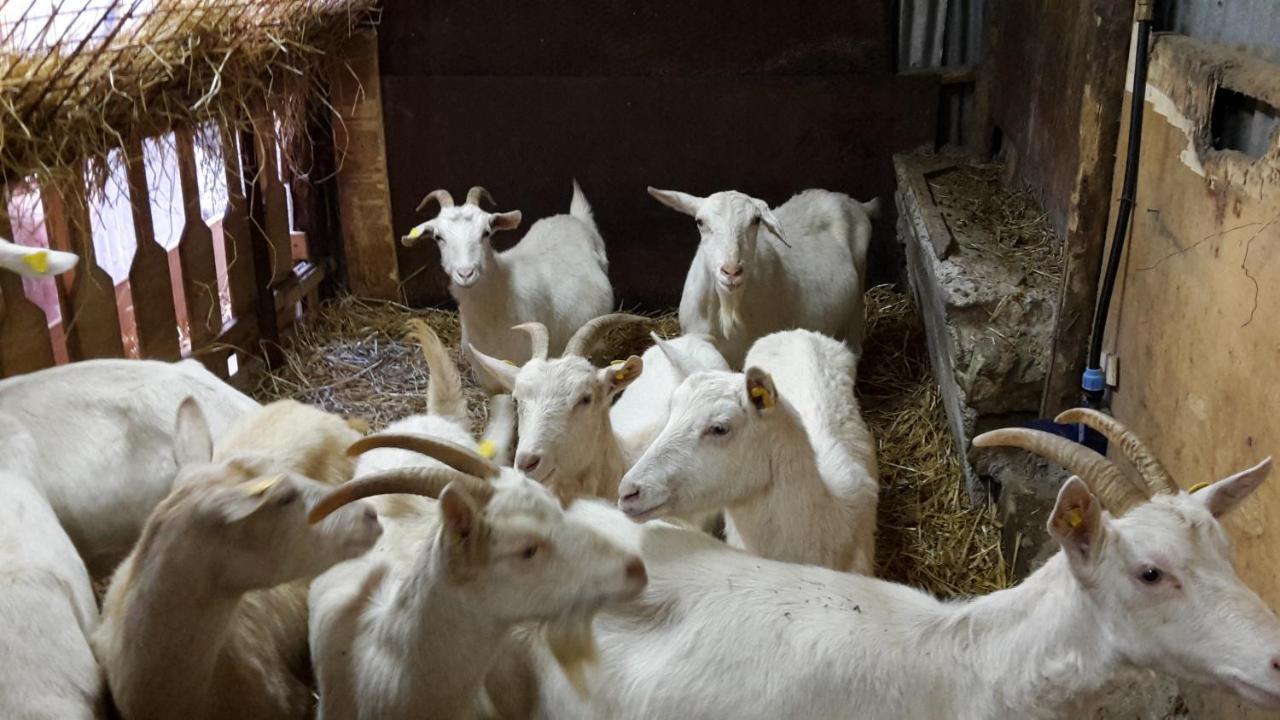 Cantina Del Casale Tramonti Eksteriør billede